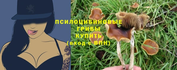 mdpv Белокуриха
