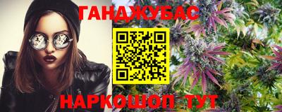прущие крисы Краснознаменск