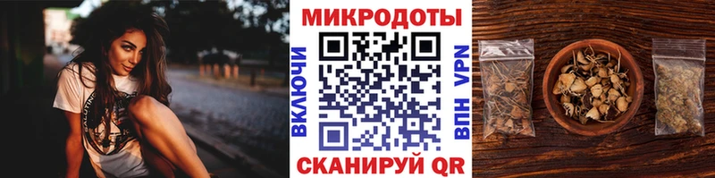 Галлюциногенные грибы прущие грибы  Кстово 