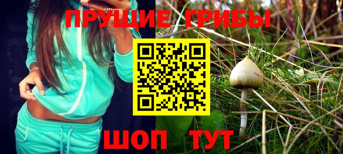 Псилоцибиновые грибы Cubensis  Вход с VPN  Галлюциногенные грибы ЛСД  Кстово 